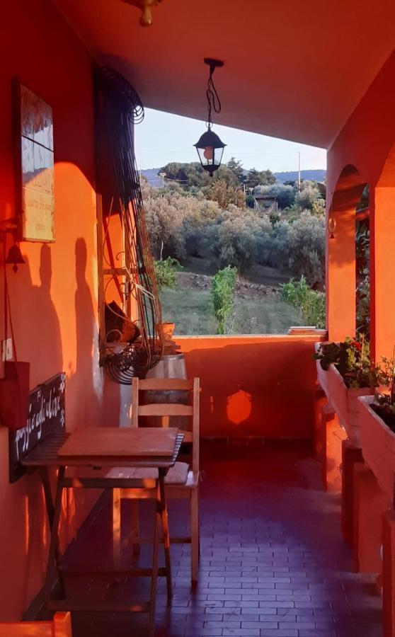 Villa Poggio Agli Ulivi Frascati Exterior foto