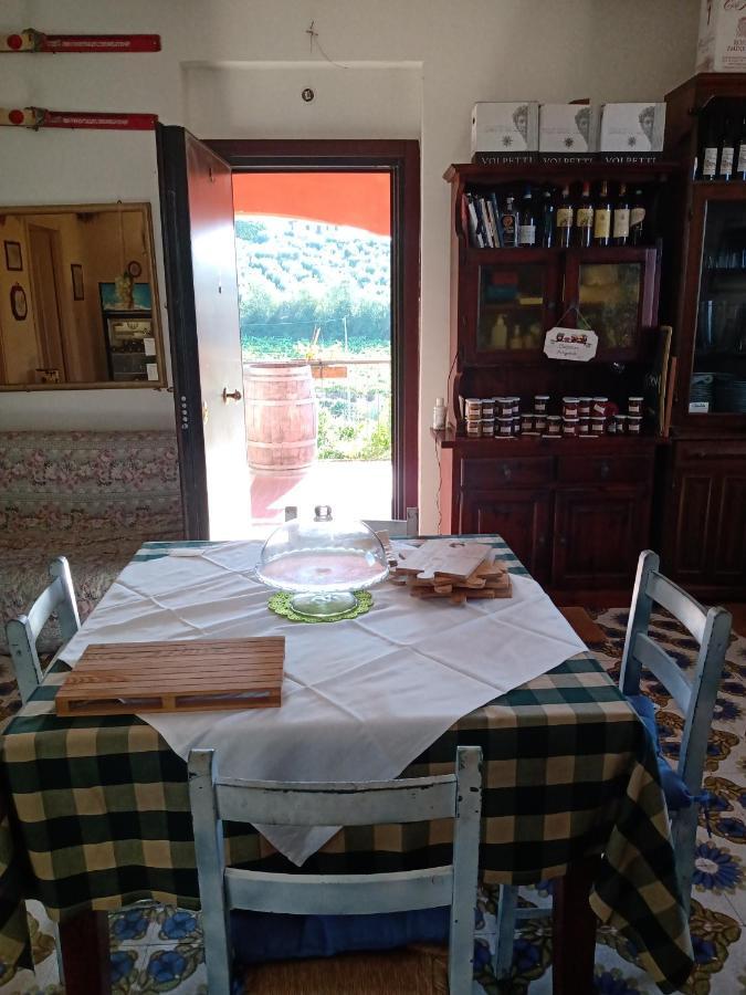 Villa Poggio Agli Ulivi Frascati Exterior foto