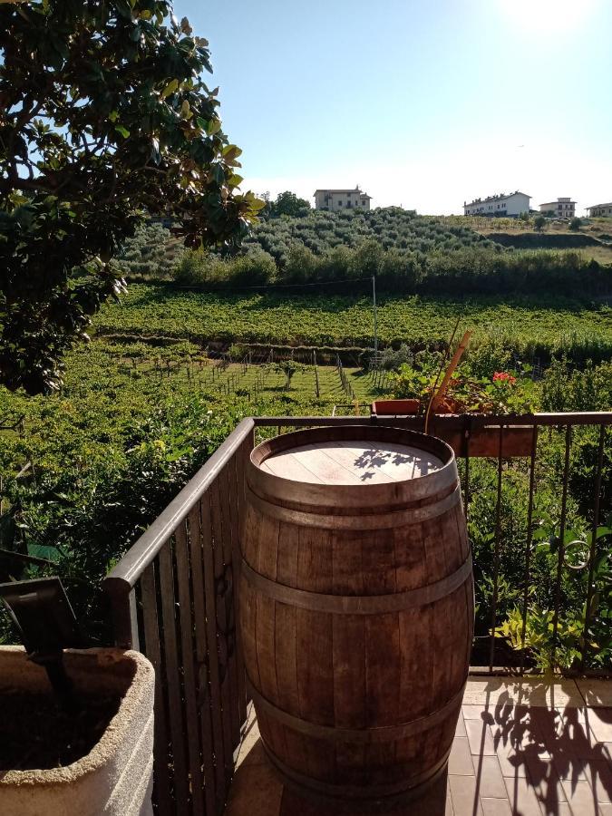 Villa Poggio Agli Ulivi Frascati Exterior foto